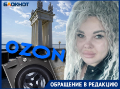 Волгоградка лишилась денег, добавив стиральную машинку в «избранное» на Ozon
