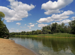 Объявлено о строительстве канала для обводнения Волго-Ахтубинской поймы