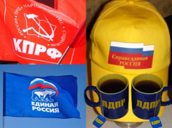 Только 15 процентов политических партий в Волгограде работают за деньги