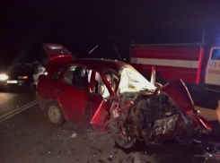 Пять человек получили травмы и один погиб в массовом ДТП на трассе под Волгоградом