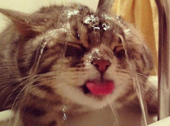 В первый выходной недели волгоградцы борются с жарой +38ºС 