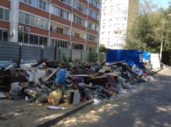 Волгоградцы отказываются идти на выборы, пока возле их домов не уберут мусор