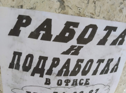 Стали известны топ-20 самых востребованных у волгоградских работодателей профессий