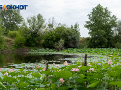 В воскресенье волгоградцев ждет пляжная погода