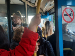 В Волгограде пассажиры автобуса №88 едут в кабине водителя из-за нехватки мест