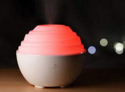 Работа иссушила: за вклад в развитие экономики и культуры волгоградцев наградят увлажнителями