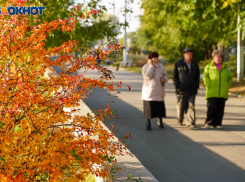 Стало известно, когда в Волгоград придет золотая осень