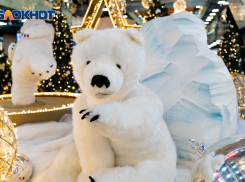 В Волгограде 12 января будет снежно, туманно и скользко на дорогах