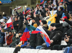 Болельщики устроили драку на матче «Ротора» в Волгограде 