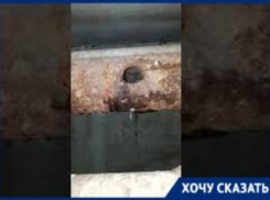 «Нам и коронавирус не нужен»: ужасный подвал с комариным роем показал на видео волгоградец