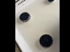 Жуткий потоп в квартире с маленькой волгоградкой не прекращается после капремонта: УК «Сигма Юг» отправляет жильцов в суд