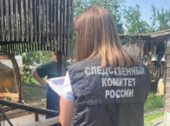 Волгоградца нашли мёртвым с дырой в вене