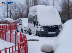 Волгоградцев предупредили о фейковых опросах от имени МЧС