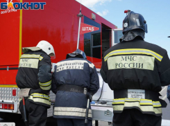 Три обгоревших трупа нашли под Волгоградом