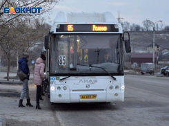 Администрация Волгограда заявила, что проблем с общественным транспортом в «Родниковой долине» нет