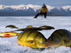 «Блокнот Волгоград» объявляет о начале конкурса «Поймай на крючок поездку в Домбай!»
