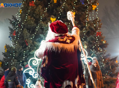 Морозная облачная погода ожидает волгоградцев на Старый Новый год