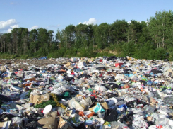 В Волгограде замглавы района оштрафовали на 10 тысяч за свалки