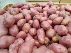 Аномальные заморозки убили урожай картошки и овощей в Волгоградской области