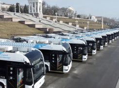 Мэрия Волгограда проиграла иск сорвавшему сроки поставщику новых троллейбусов