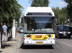 В Волгограде полиция устроит тотальную проверку маршрутов и автобусов