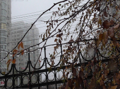 Туман и приятный мороз проводят волгоградцев на выходные