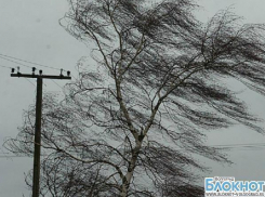 Из-за сильного ветра в Волгоградской области объявлено штормовое предупреждение