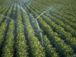 В Волгограде КСП выявила коррупцию в системе мелиорации