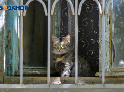 Волгоградка выиграла суд у страховой компании после взрыва газа в жилом доме