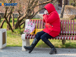 Волгоградцев расстраивает каждый поход в магазин: показал опрос