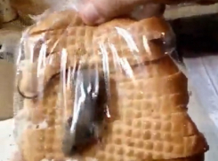 Житель Волгоградской области поймал на видео мышь, спрятавшуюся в батоне