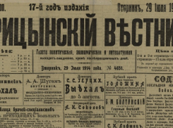 Угроза чумы, заразные облака и исчезновение рыбы в Волге: что обсуждали в Царицыне 100 лет назад