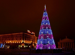 В Волгограде площадь Павших борцов на месяц перекроют для транспорта 