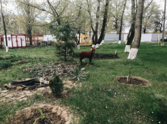 Заморозки до -2 ºС ожидаются в Волгоградской области
