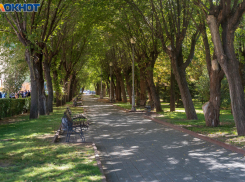 Волна краткосрочного тепла накроет Волгоград