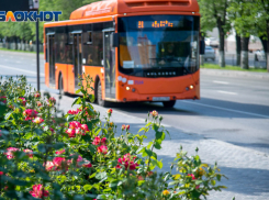 Автобусы на полмиллиарда закупает мэрия Волгограда