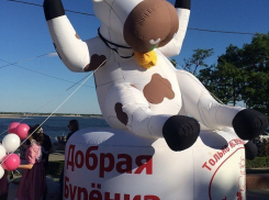 Волгоградцев бесплатно угостили лучшим молоком