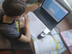 Волгоградцы второй день проклинают дистанционку и зависший «Сетевой город»