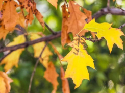 Волгоградский фотограф рассказал о своей осени