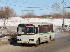 В Михайловке водитель автобуса сбил 9-летнюю школьницу