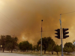 Жители Волгограда делятся фото страшного пожара