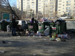 Тема, набившая оскомину: волгоградцы опасаются зарасти мусором из-за отсутствия регулярного вывоза бытовых отходов  