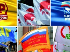 Лидеров политических партий Волгограда сравнили с воробьями