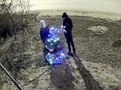 На видео попало, как два ребенка обокрали елку, наряженную неравнодушными волгоградцами