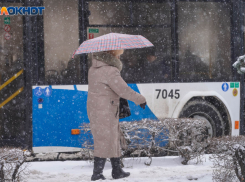 Волгоградцы вступили в новый 2023-й год с подорожавшим проездом