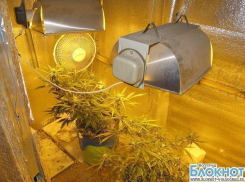 В Тракторозаводском районе Волгограда накрыли нарколабораторию