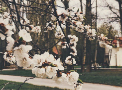 Май начнется с жары +27 градусов в Волгоградской области