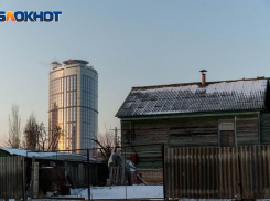 Косить камыш на болотах заставили чиновников Волгограда