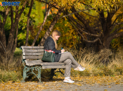 Названы волгоградские сотрудники, которых умоляют не уходить начальники