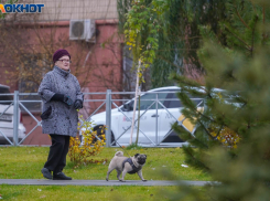 Скользко и небольшие осадки: погода в Волгограде на 10 декабря